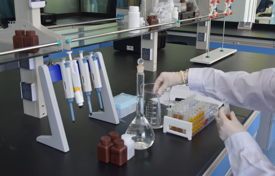 1713335385619656 1713335385619656